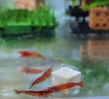 Preview: Mineral Cubes 